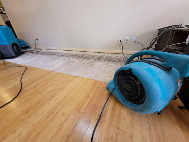 Professional Flood Damage Cleanup technician working in Bethalto, IL
